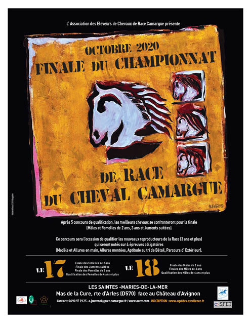 Finale du championnat de race du cheval Camargue